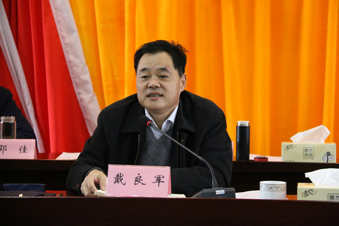 集團(tuán)黨委委員、副總經(jīng)理、總工程師戴良軍發(fā)表講話